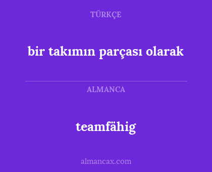 teamfähig - bir takımın parçası olarak