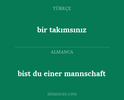 bist du einer mannschaft - bir takımsınız