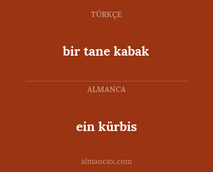 ein kürbis - bir tane kabak