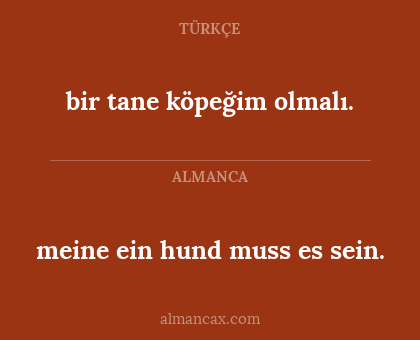 meine ein hund muss es sein. - bir tane köpeğim olmalı.