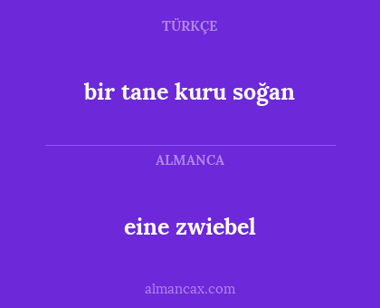 bir tane kuru soğan - eine zwiebel