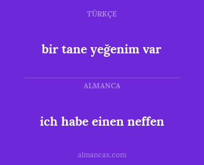 bir tane yeğenim var - ich habe einen neffen