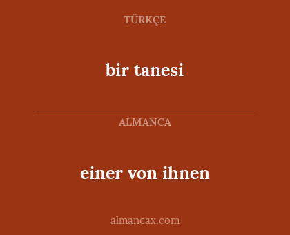 bir tanesi - einer von ihnen