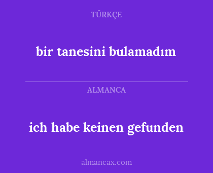 ich habe keinen gefunden - bir tanesini bulamadım