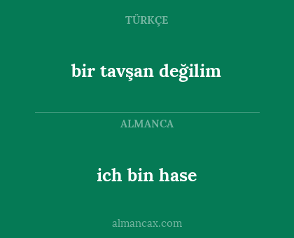 ich bin hase - bir tavşan değilim
