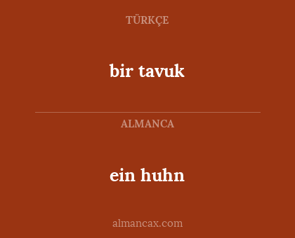 bir tavuk - ein huhn