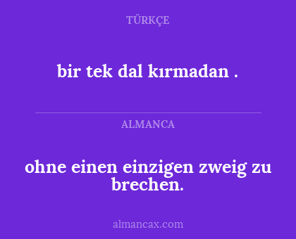 bir tek dal kırmadan . - ohne einen einzigen zweig zu brechen.