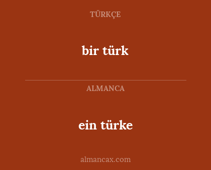 ein türke - bir türk