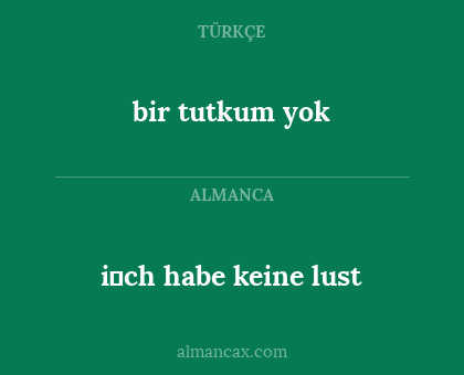 bir tutkum yok - i̇ch habe keine lust