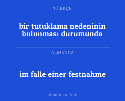bir tutuklama nedeninin bulunması durumunda - im falle einer festnahme