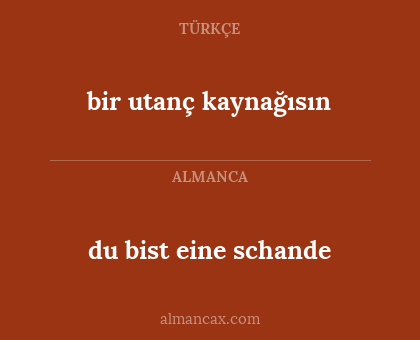 du bist eine schande - bir utanç kaynağısın