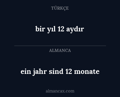 bir yıl 12 aydır - ein jahr sind 12 monate
