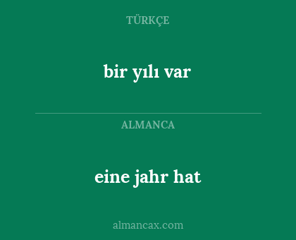 bir yılı var - eine jahr hat