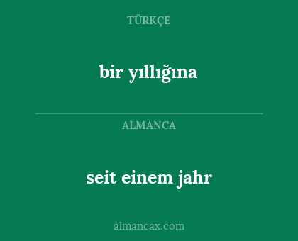 seit einem jahr - bir yıllığına