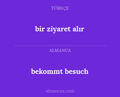 bir ziyaret alır - bekommt besuch