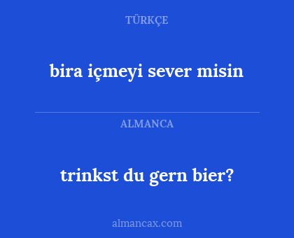 bira içmeyi sever misin - trinkst du gern bier?