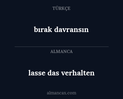 bırak davransın - lasse das verhalten