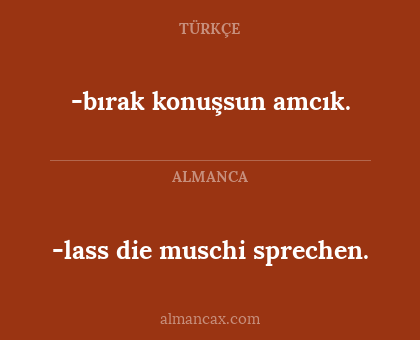-lass die muschi sprechen. - -bırak konuşsun amcık.