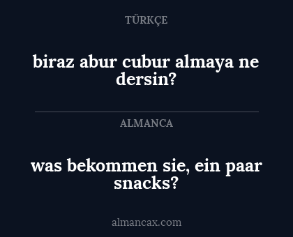 was bekommen sie, ein paar snacks? - biraz abur cubur almaya ne dersin?