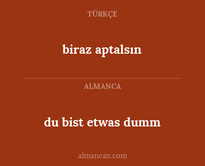biraz aptalsın - du bist etwas dumm