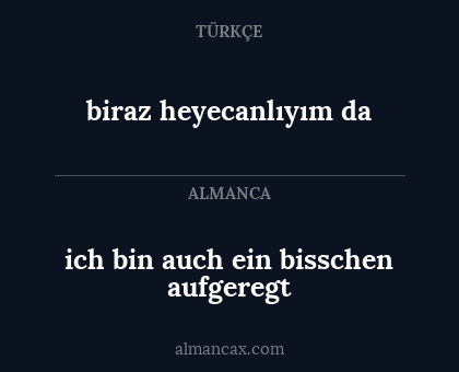ich bin auch ein bisschen aufgeregt - biraz heyecanlıyım da