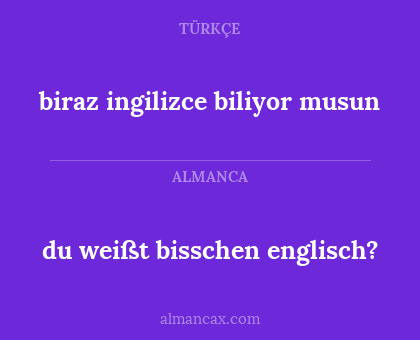 du weißt bisschen englisch? - biraz ingilizce biliyor musun