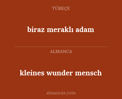 biraz meraklı adam - kleines wunder mensch