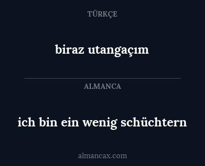 biraz utangaçım - ich bin ein wenig schüchtern
