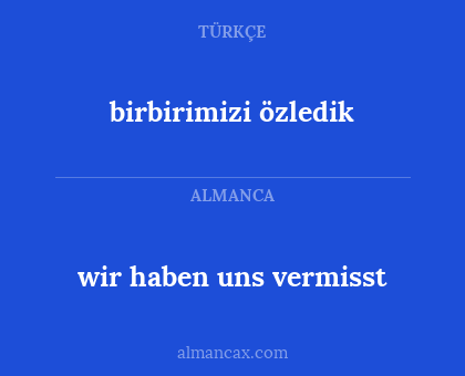 wir haben uns vermisst - birbirimizi özledik
