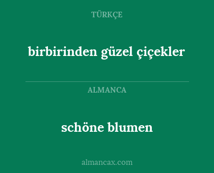 schöne blumen - birbirinden güzel çiçekler
