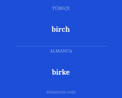 birke - birch