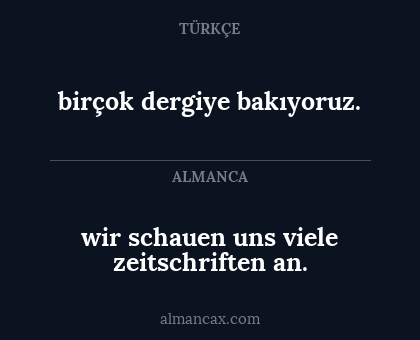 birçok dergiye bakıyoruz. - wir schauen uns viele zeitschriften an.