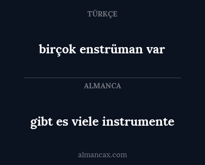 birçok enstrüman var - gibt es viele instrumente