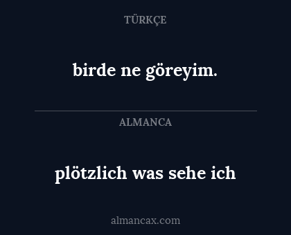 birde ne göreyim. - plötzlich was sehe ich