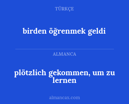 birden öğrenmek geldi - plötzlich gekommen, um zu lernen