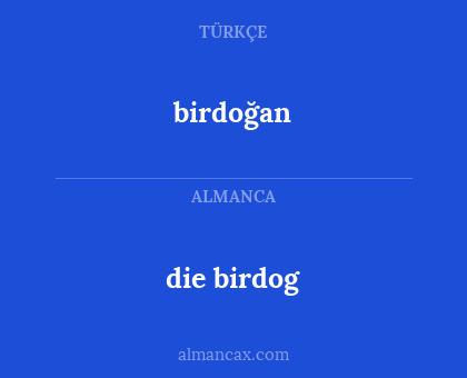 birdoğan - die birdog