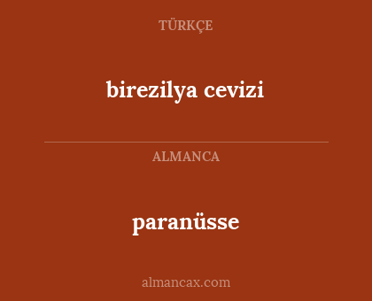 paranüsse - birezilya cevizi