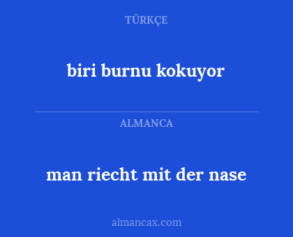biri burnu kokuyor - man riecht mit der nase