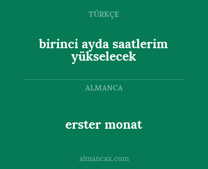 birinci ayda saatlerim yükselecek - erster monat