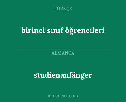 birinci sınıf öğrencileri - studienanfänger