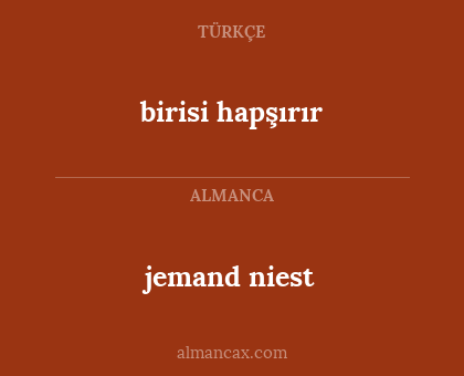 birisi hapşırır - jemand niest