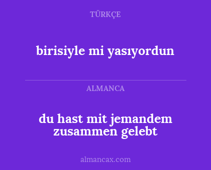 du hast mit jemandem zusammen gelebt - birisiyle mi yasıyordun