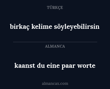 birkaç kelime söyleyebilirsin - kaanst du eine paar worte