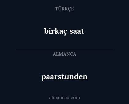 birkaç saat - paarstunden