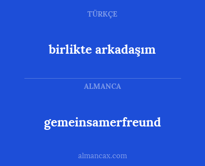 gemeinsamerfreund - birlikte arkadaşım