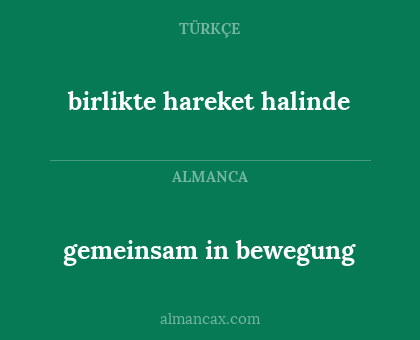 gemeinsam in bewegung - birlikte hareket halinde