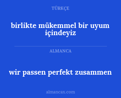 birlikte mükemmel bir uyum içindeyiz - wir passen perfekt zusammen