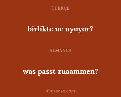 was passt zuaammen? - birlikte ne uyuyor?