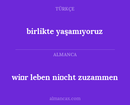 wi̇r leben ni̇cht zuzammen - birlikte yaşamıyoruz