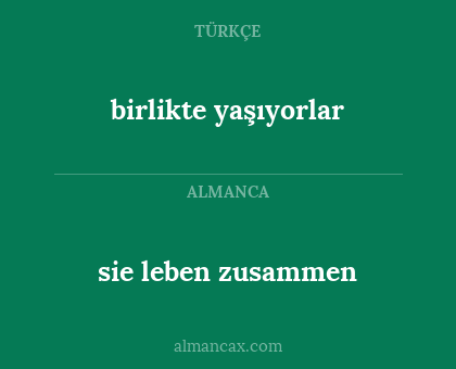 birlikte yaşıyorlar - sie leben zusammen
